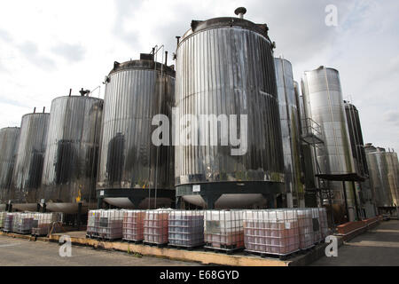 Sidro Aspall fattoria che risale al 1728, Aspall Hall Farm, vicino Debenham, Suffolk, Inghilterra, Regno Unito Foto Stock