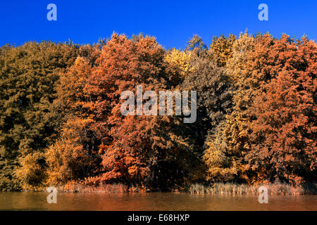 Il fiume scorre attraverso il parco d'autunno. Foto Stock