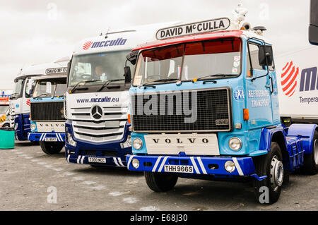 1977 Volvo F88 camion e autocarri di proprietà di David McCulla trasporto refrigerato, Irlanda del Nord accanto ad alcuni 1999 Mercedes Foto Stock