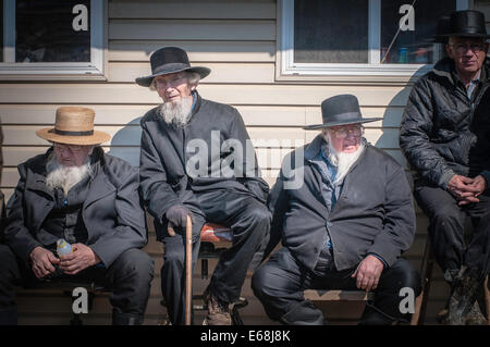 Amish vendite di fango, molla aste mobili animali farm equipment fornisce gli oggetti artigianali di strumenti volontari di antiquariato società antincendio Foto Stock