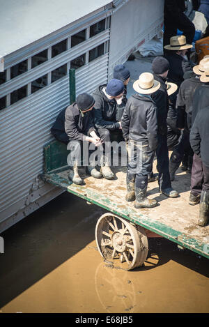 Amish vendite di fango, molla aste mobili animali farm equipment fornisce gli oggetti artigianali di strumenti volontari di antiquariato società antincendio Foto Stock