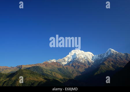 LANDRUK, Nepal - 10 ottobre: il 7219 ms.alta Annapurna sud (L) e il 6441 ms.alta Hiun picco Chuli Foto Stock