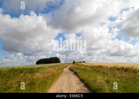 Il percorso di Ridgeway a Hackpen Hill, sui bassi di Marlborough nel Wiltshire, Inghilterra. Foto Stock