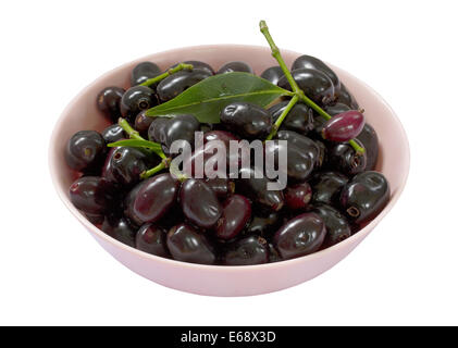 Jambolan prugna, Java prugna (Syzygium cumini) frutta isolato su sfondo bianco Foto Stock