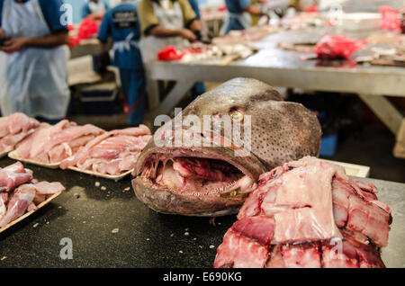 Pescatore con testa di pesce in Deira mercato del pesce dal souk di Dubai, Emirati Arabi Uniti EMIRATI ARABI UNITI. Foto Stock