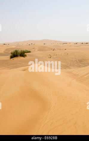 Il deserto al di fuori di Dubai, Emirati arabi uniti (EAU). Foto Stock