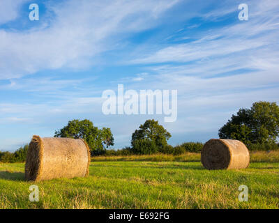 Billingham, Regno Unito. 19 Ago, 2014. Meteo: fieno prato all alba di un luminoso ma freddino martedì mattina nel nord-est dell' Inghilterra. Credito: ALANDAWSONPHOTOGRAPHY/Alamy Live News Foto Stock