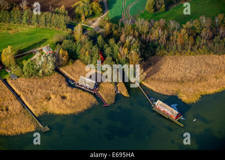 Vista aerea, case in barca sul Lago Inselsee, Güstrow, Müritz lakeland, Meclemburgo Lake District, Meclemburgo-Pomerania Occidentale Foto Stock