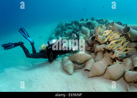 Fotografo subacqueo fotografare la scuola di pesce su anfora, Mar Rosso, Makadi Bay, Hurghada, Egitto Foto Stock