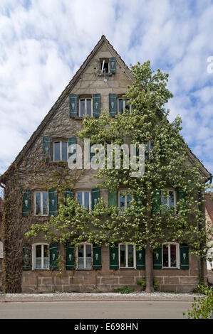Fioritura di pera a spalliera (Pyrus) sulla facciata di una vecchia casa colonica, Tauchersreuth, Media Franconia, Baviera, Germania Foto Stock
