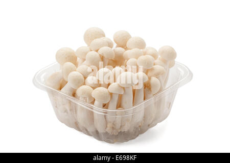 Bianco di funghi shimeji isolati su sfondo bianco Foto Stock