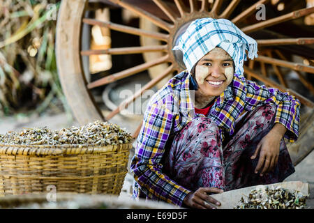 Ragazza asiatica di erbe di vendita nel mercato Foto Stock