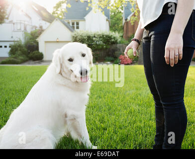 La donna caucasica giocando con il cane in posizione di parcheggio Foto Stock