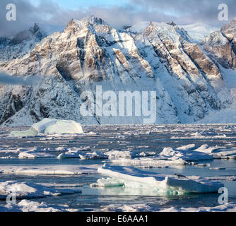 Guarnizione con cappuccio sul mare di ghiaccio e drammatico paesaggio di Davy Suono in re Oscar fiordo, sulla costa orientale della Groenlandia Foto Stock