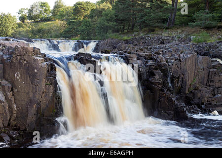 Bassa forza sul Fiume Tees vicino Bowlees, Superiore Teesdale, County Durham, Regno Unito Foto Stock