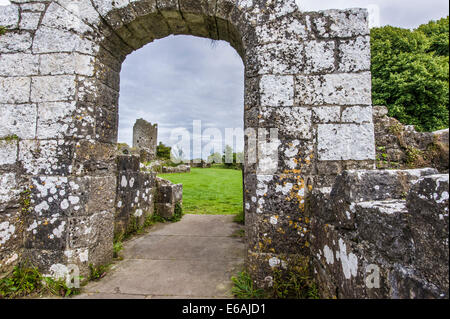 Crom Castello, Co Fermanagh, Irlanda del Nord Foto Stock