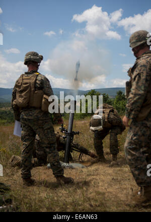 Stati Uniti Marines con integrato un mortaio team assegnato al 3° Battaglione, 8° Reggimento Marine, assegnato al nero di rotazione del mare Foto Stock