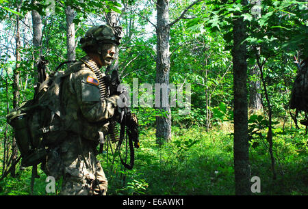 Un U.S. Soldato assegnato a Charlie Company, 1° Battaglione, 87th Reggimento di Fanteria, decimo Montagna divisione si muove attraverso i boschi durante un attacco di società esercizio presso il Camp Temolo manovra comune centro di formazione, Mich, luglio 21, 2014. Soldati con il 1° Foto Stock