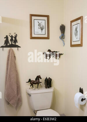 Western tema bagno moderno, STATI UNITI D'AMERICA Foto Stock