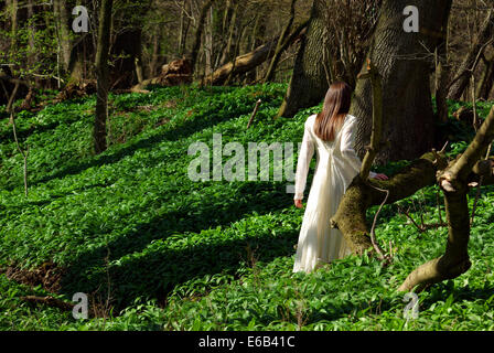 donna, foresta Foto Stock