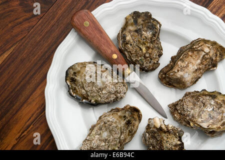 Alcune ostriche con ostriche coltello su una piastra bianca in legno da retro, visto da sopra Foto Stock