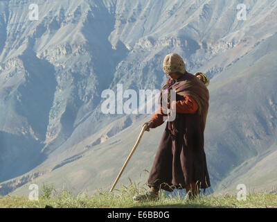 La donna a piedi a Shin Village, vicino Kargyak, Zanskar, Ladakh, India, Himalaya Foto Stock