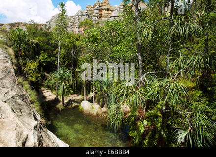 In Madagascar, il Parco Nazionale di Isalo, verde piscina naturale nelle piscine naturelle circuito. Foto Stock