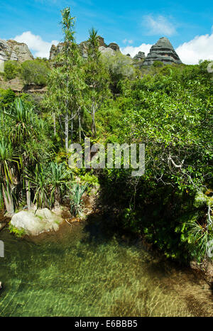 In Madagascar, il Parco Nazionale di Isalo, verde piscina naturale nelle piscine naturelle circuito. Foto Stock