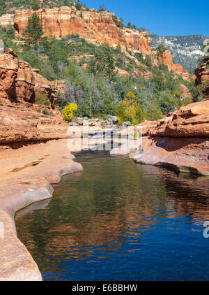 La riflessione di scogliere in creek alla Slide Rock State Park in Oak Creek Canyon vicino a Sedona, in Arizona Foto Stock