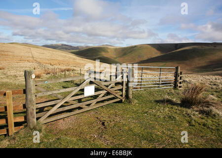 Porte in alto su Clennell Street in Cheviot Hills, vicino a Cocklawfoot nei confini scozzesi. Mostra anche il percorso di Pennine Way Foto Stock