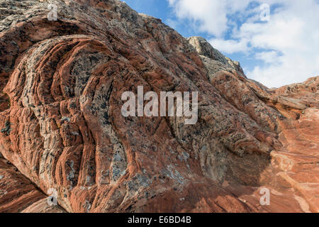 Rock volute e striature, Bianco Tasca, Vermillion Cliffs National Monument, Arizona Foto Stock
