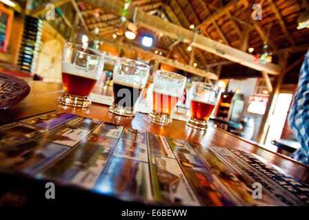 Vista di occhiali durante la degustazione di birra presso la birra artigianale evento. Foto Stock