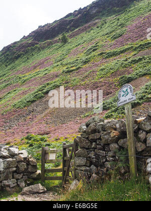 Un National Trust segno che identifica "Anglers falesia', appoggiata contro una pietra a secco sulla parete di un sentiero pubblico in Cumbria, Inghilterra Foto Stock