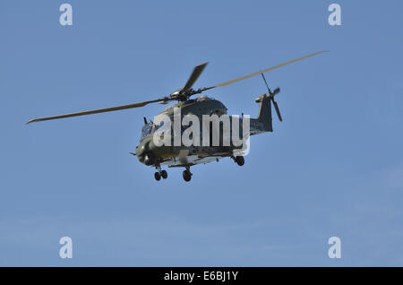 L'elicottero NH90 introdotto in 2014 all'esercito belga. Foto Stock