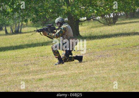 Un pathfinder dell'esercito belga in guardia nei campi. Foto Stock