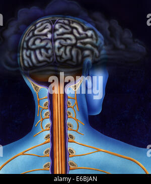Schema che mostra retro del cervello e del midollo spinale. Testa in dark cloud che indica la depressione. Foto Stock