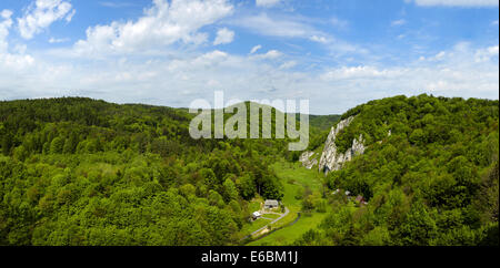 Panorama di estate in Ojcow National Park. Vista della Valle Pradnik e Gora forma Koronna Gora Okopy. Foto Stock