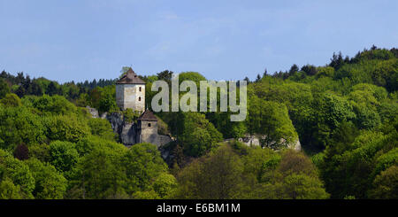 Ojcow National Park. Rovinato Kazimierz castello di Ojcow. Sentiero delle aquile' nidi. Foto Stock