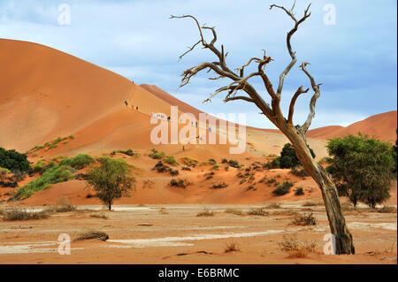 I turisti la scalata di dune di Sossusvlei, Namibia Foto Stock