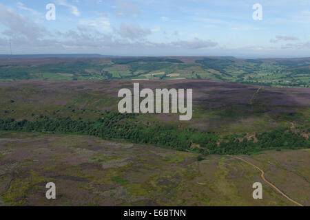 Una fotografia aerea che mostra il North Yorkshire Moors coperto con viola heather su un luminoso giorno d'estate. Foto Stock