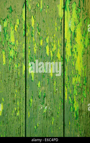 Sfondo della vecchia porta di legno con peeling vernice verde Foto Stock