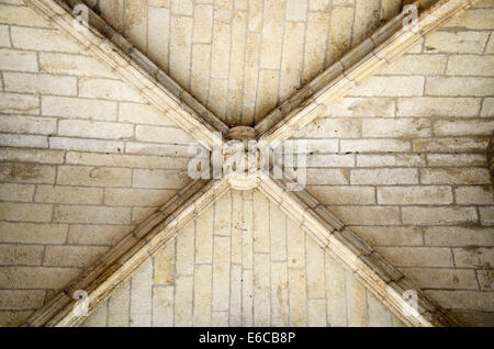 Ribbed soffitto a volte e a Keystone presso la Cattedrale di Saint Nazaire chiostro, Beziers, Francia, Europa Foto Stock