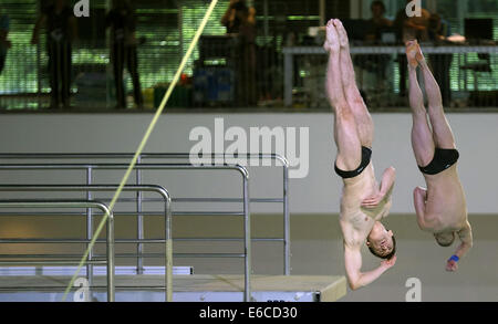 Berlino, Germania. 20 agosto 2014. Vadim Kaptur e Yauheni Karaliou della Bielorussia di competere per piazzato al secondo posto il Diving sincronizzato Platform Finale in occasione della trentaduesima LEN European Swimming Championships 2014 al Schwimm- und Palazzetto Europa-Sportpark im (SSE) di Berlino, Germania, 20 agosto 2014. Foto: Annibale/dpa/Alamy Live News Foto Stock