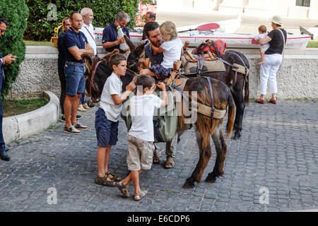 Città del Vaticano. 20 Agosto, 2014. Una famiglia di pellegrini, genitori di sei bambini, raggiunto il Vaticano dai piedi con due asini. Credito: Davvero Facile Star/Alamy Live News Foto Stock