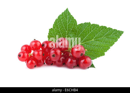 Ribes rosso Foto Stock