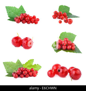 Ribes rosso set, bacche mature isolati su sfondo bianco Foto Stock