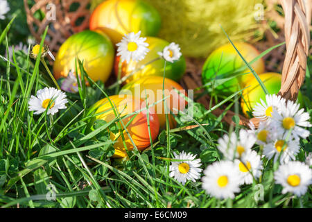 Le uova di pasqua nascoste in erba verde con fiori Foto Stock