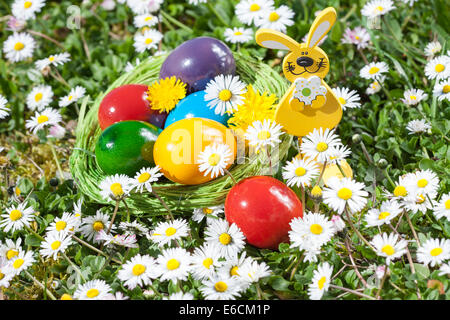 Pasqua nido su un prato con fiori Foto Stock