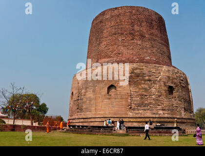 Dhamekh Stupa è un buddismo sito storico, considerata il luogo di nascita del buddismo. Foto Stock