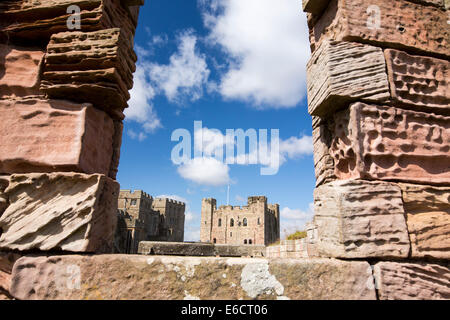 In arenaria a spiovente sulle pareti del castello di Bamburgh in Northumberland, Regno Unito. Foto Stock